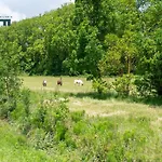 Sejour Detente Avec Spa, Piscine Et Sauna Mas-Saintes-Puelles