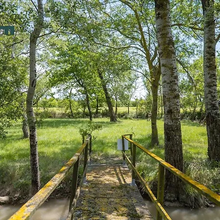 Feriehus Sejour Detente Avec Spa, Piscine Et Sauna Mas-Saintes-Puelles
