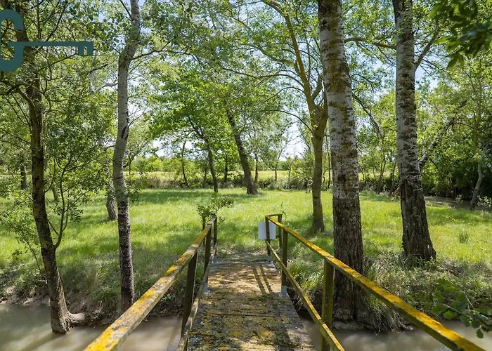 Casa vacanze Détente Et Nature Avec Spa, Sauna Et Piscine Mas-Saintes-Puelles