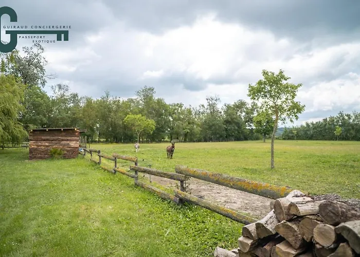 Sejour Detente Avec Spa, Piscine Et Sauna * Mas-Saintes-Puelles